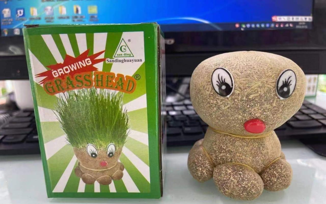 Octopus Grass Doll Grow Pot – Cute Indoor Plant Décor with Grass Hair