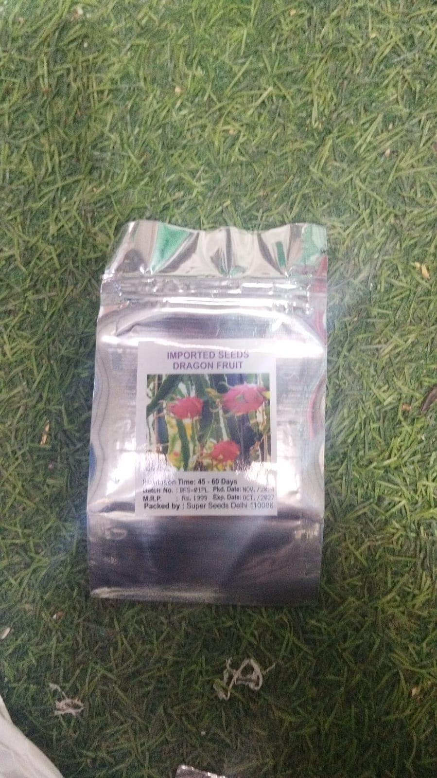 Multi-Colored Dragon Fruit Seeds for Home Gardening (Pack of 1)