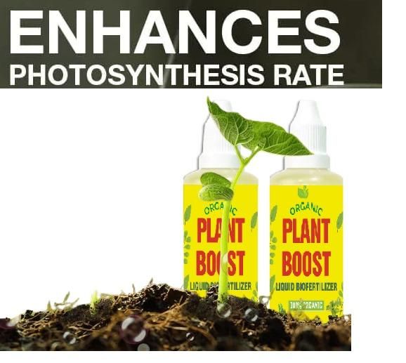 Plant Boost Biofertilizer for Plants, Flowers & Vegetables – 3 Bottles