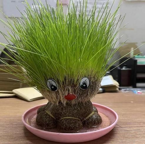 Octopus Grass Doll Grow Pot – Cute Indoor Plant Décor with Grass Hair