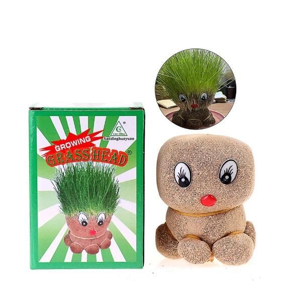 Octopus Grass Doll Grow Pot – Cute Indoor Plant Décor with Grass Hair