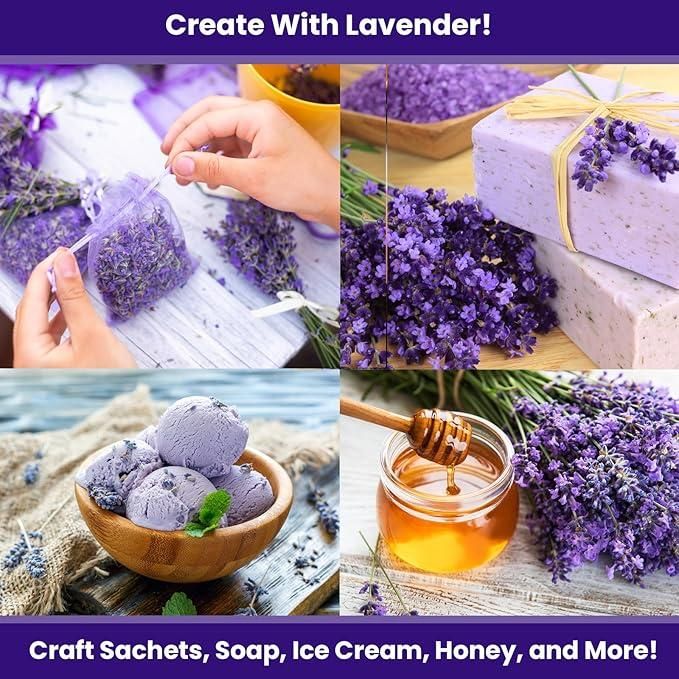 Lavender Seeds for Planting – Fragrant Flower Seeds (350g)