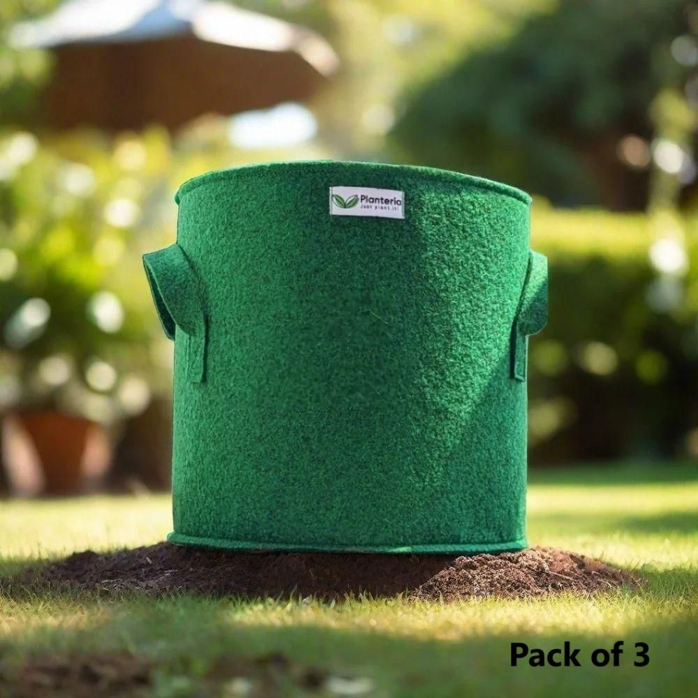 Geofabric Grow Bags for Plants – 12×12 Inch Eco-Friendly Pots (Pack of 3)