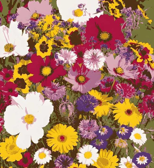 Mixed Flower Seeds Variety Pack – Colorful Garden Flowers (20g)