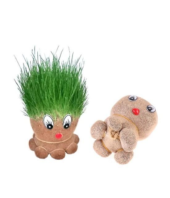 Octopus Grass Doll Grow Pot – Cute Indoor Plant Décor with Grass Hair